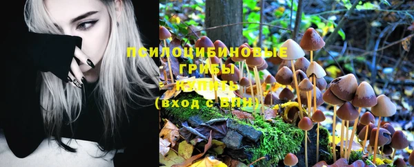 дурь Лабытнанги