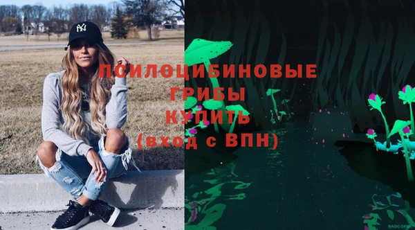 амф Абинск