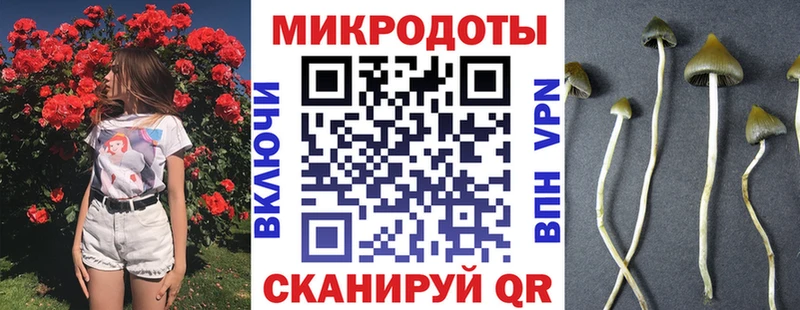 Галлюциногенные грибы мицелий  Димитровград 